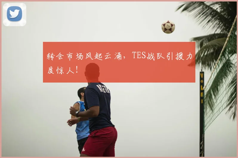 转会市场风起云涌，TES战队引援力度惊人！