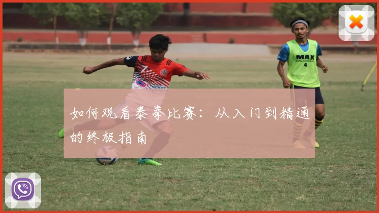 如何观看泰拳比赛：从入门到精通的终极指南