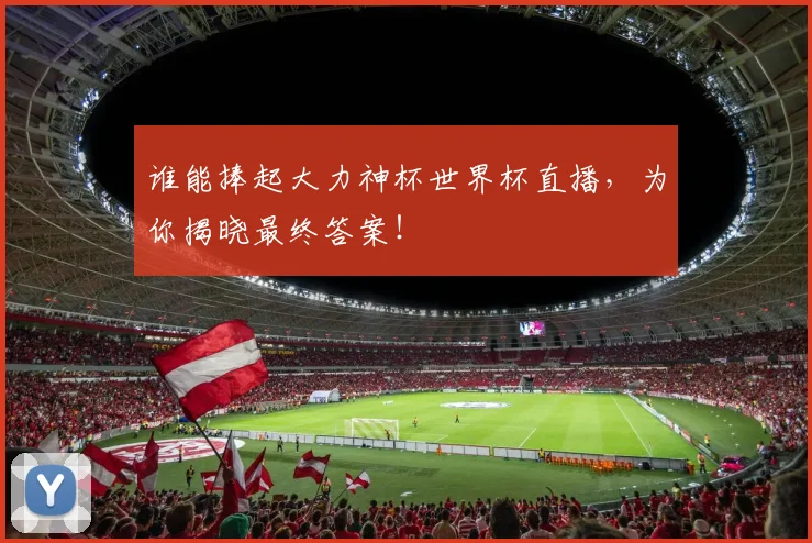 谁能捧起大力神杯世界杯直播,为你揭晓最终答案!