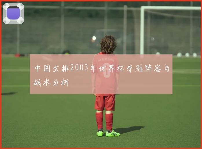 中国女排2003年世界杯夺冠阵容与战术分析
