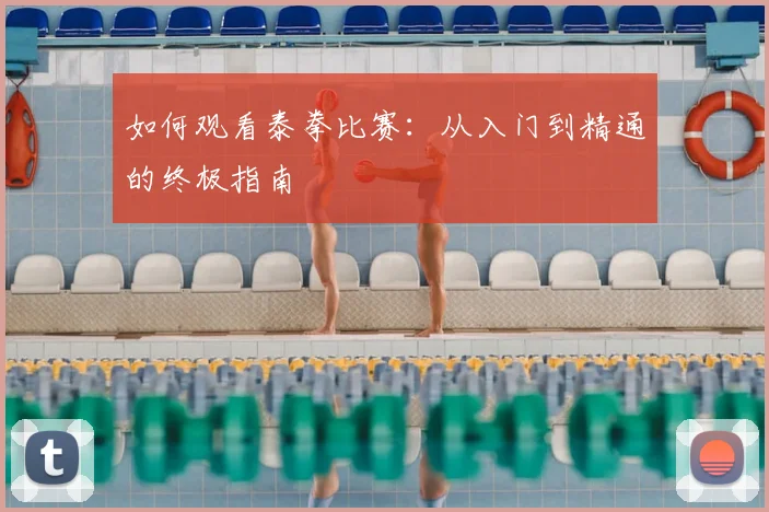 如何观看泰拳比赛：从入门到精通的终极指南